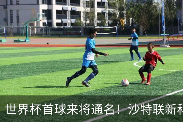 世界杯首球来将通名！沙特联新科金靴 力压C罗本泽马